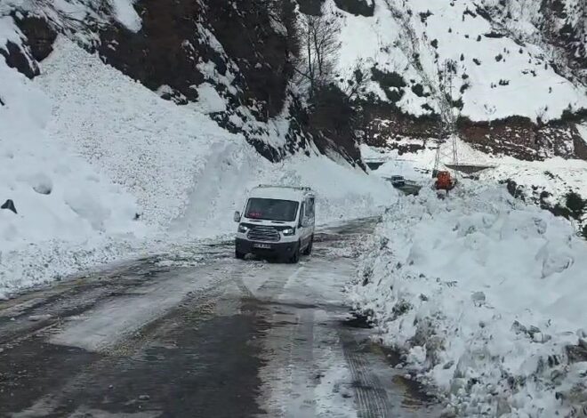 Çığ nedeniyle kapanan Artvin-Macahel yolu ulaşıma açıldı